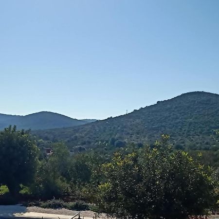B&B Casa Flamenga Альте Экстерьер фото